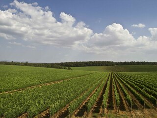 Farmhouse Valiano Environment 29