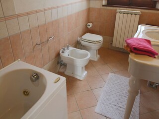 Type de propriété : Ferme Valiano Équipement 34