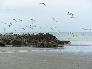 Villa Westende Buitenaudio-opname 7