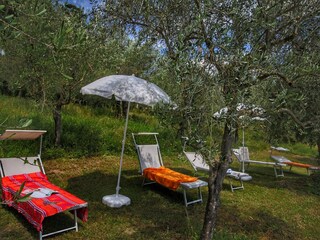Type de propriété : Ferme Siena Enregistrement extérieur 10