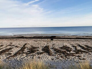 Parco vacanze Marielyst  87