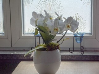 Chalet Poperinge  29