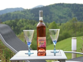 Vakantiehuis Fellering  26