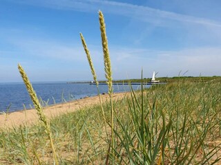 Vakantiehuis Skaven Strand  33