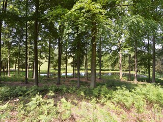 Vakantiehuisje Brakel (Ostflandern) Buitenaudio-opname 4