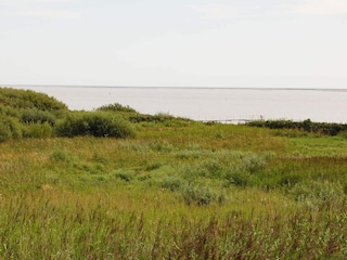 Holiday house Esbjerg  6