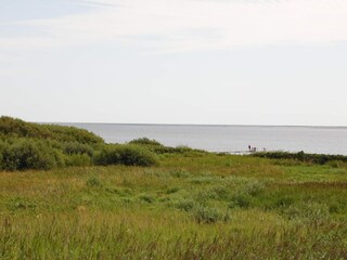 Vakantiehuis Esbjerg  9