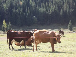 Appartamento Champagny-en-Vanoise Ambiente 22