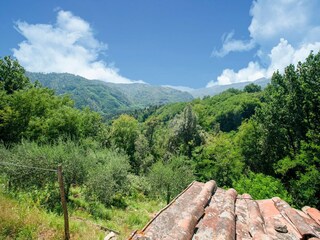 Ferienhaus San Martino in Freddana Außenaufnahme 7