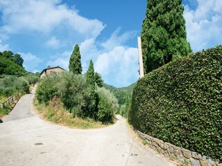 Ferienhaus San Martino in Freddana Umgebung 33