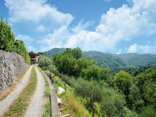 Ferienhaus San Martino in Freddana Umgebung 34