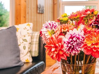 Maison de vacances Henne Strand  17