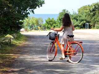 Vakantiepark Hasle  13