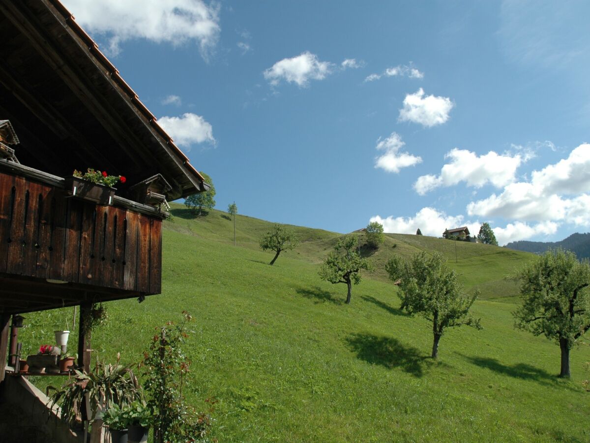 Bauernhof Habkern Außenaufnahme 11