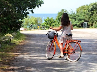 Ferienpark Hasle  13