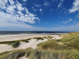 Vakantiehuis Henne Strand  37