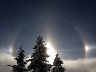 Appartement Riederalp  23