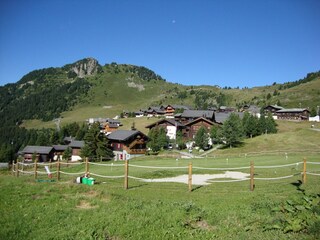Appartement Riederalp Omgeving 17