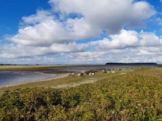 Vakantiepark Lemvig  42