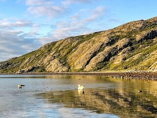 Vakantiehuis Welt  9