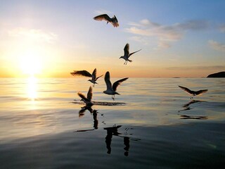 Maison de vacances Welt  24