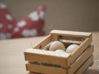 legewarme Eier von unseren Hühnern