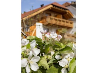 Frühling auf dem Neuhauserhof