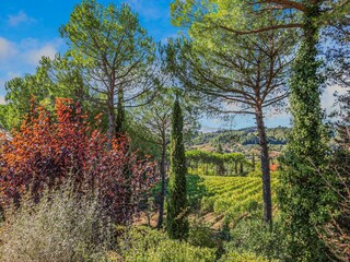 Casa de campo San Miniato Entorno 26