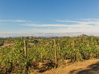Farmhouse San Miniato Environment 26