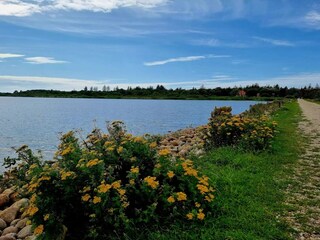 Ferienhaus Henne Strand  11