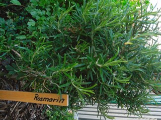 Parco vacanze Fanø Bad  27