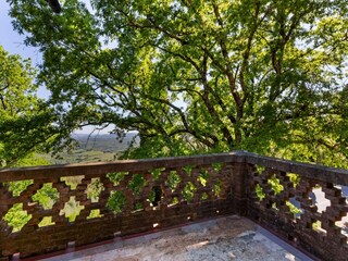 Ferienhaus Monteverdi Marittimo Außenaufnahme 9