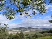 Casa per le vacanze Volterra Registrazione all'aperto 1