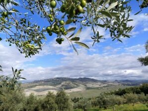 Vakantiehuis Biologische agritoerisme met gedeeld zwembad en prachtig uitzicht op Volterra - Volterra - image1