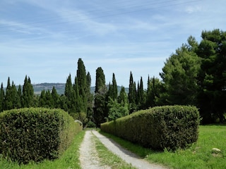 Vakantiehuis Volterra Buitenaudio-opname 16