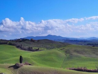 Holiday house Volterra Environment 38
