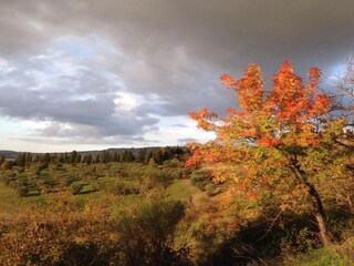 Maison de vacances Volterra Environnement 35
