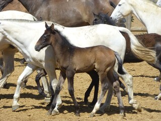 Casa per le vacanze Chiclana de la Frontera Ambiente 29