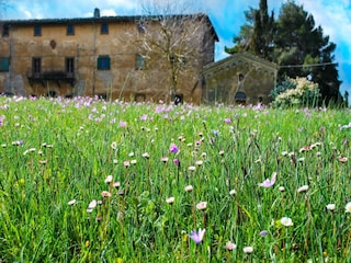 Ferienhaus Volterra Außenaufnahme 4