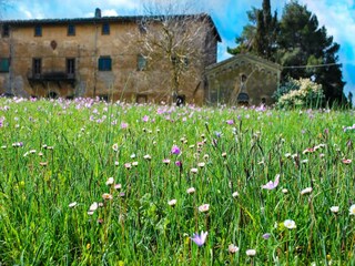 Ferienhaus Volterra Außenaufnahme 8