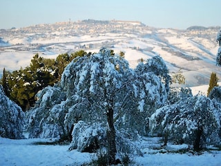 Holiday house Volterra Outdoor Recording 8