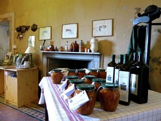 Maison de vacances Volterra  31