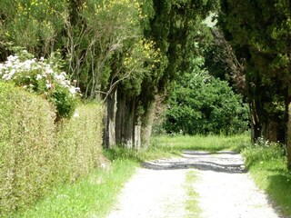 Vakantiehuis Volterra Buitenaudio-opname 13
