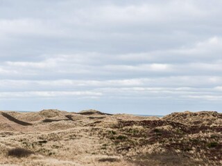 Vakantiehuis Henne Strand  9