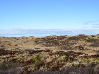 Vakantiehuis Henne Strand  12