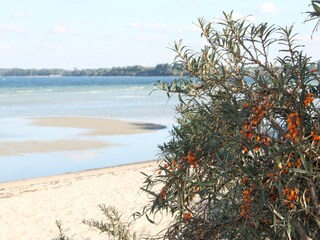 Appartamento Blowatz Ambiente 28