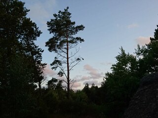 Vakantiehuis Nørre Nebel  29