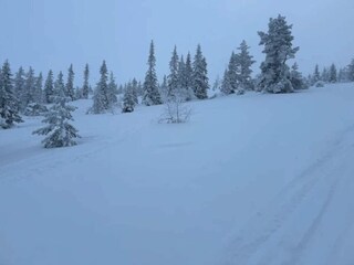 Vakantiehuis Sälen  19