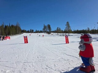 Vakantiehuis Sälen  3