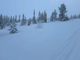 Vakantiehuis Sälen  24